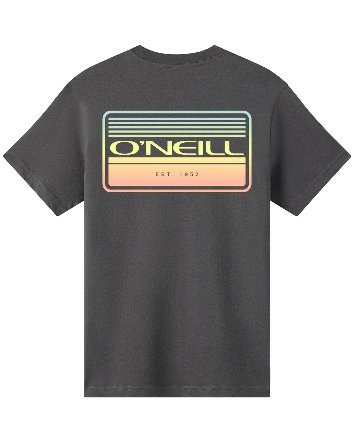 O'Neill Banner SS T-Shirt - Dark Shadow - back