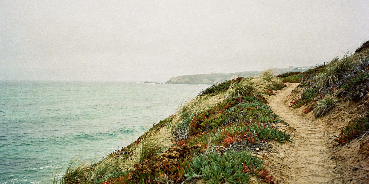 Coastal bluff path above a teal ocean