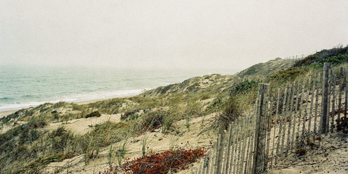 Sand dunes and fence above a calm sea