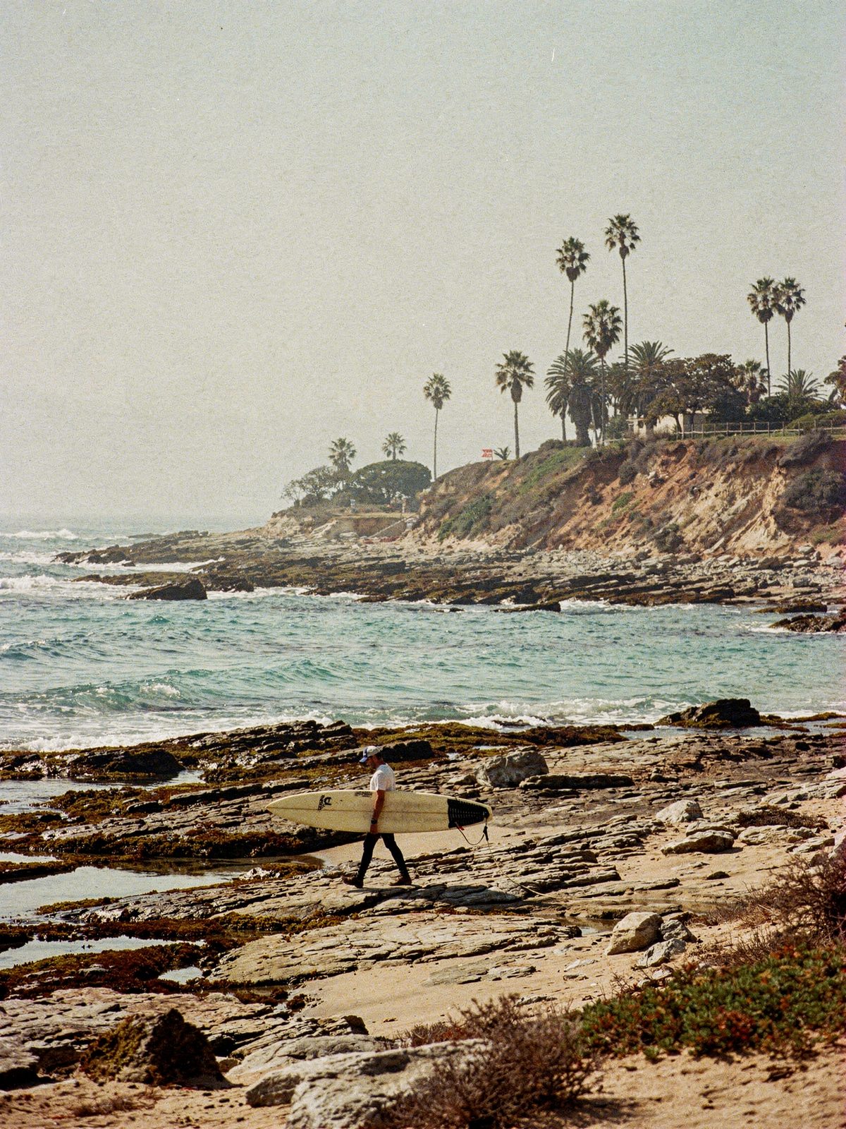Surfer walking a remote rocky coastline with palm trees