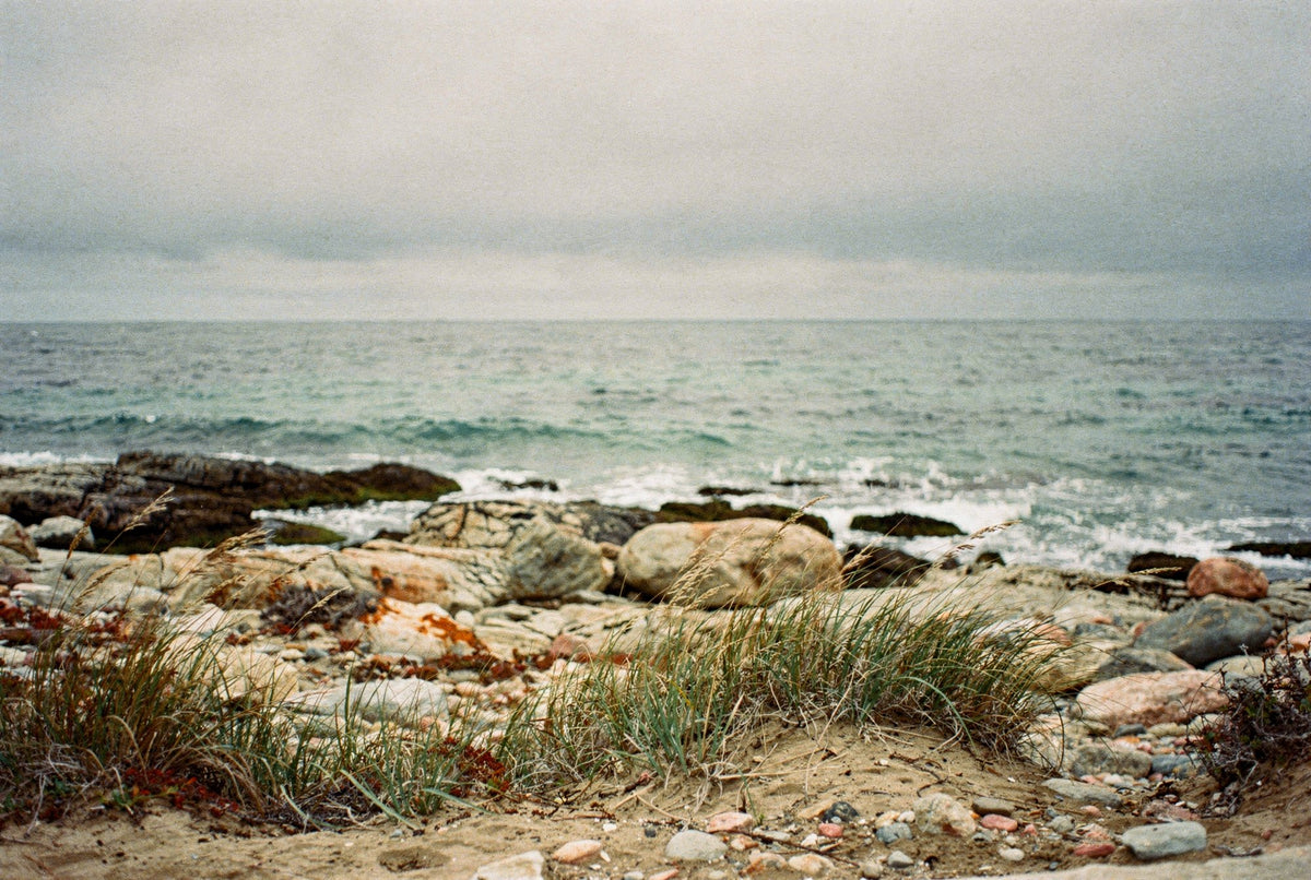 Rocky shoreline with dune grass under an overcast sky