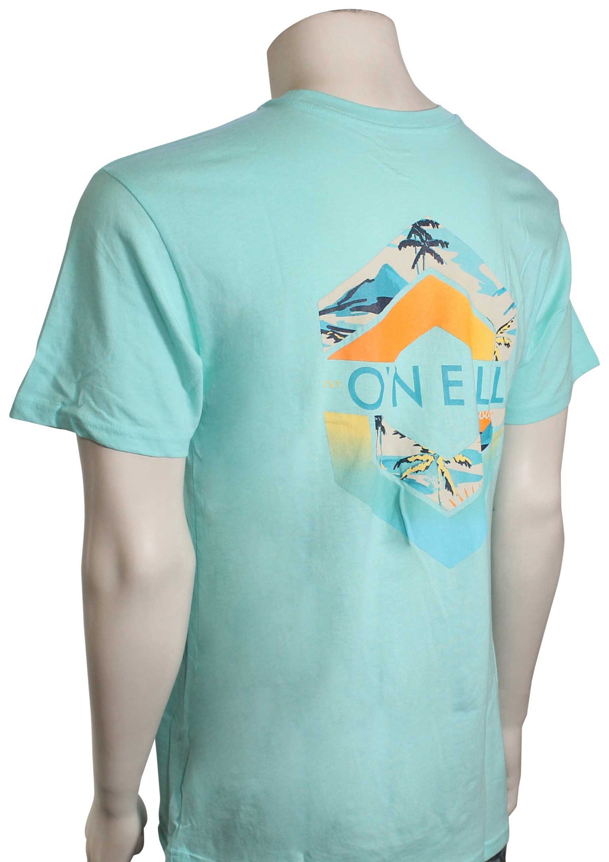 O'Neill Rhythm T-Shirt - Mint, back view