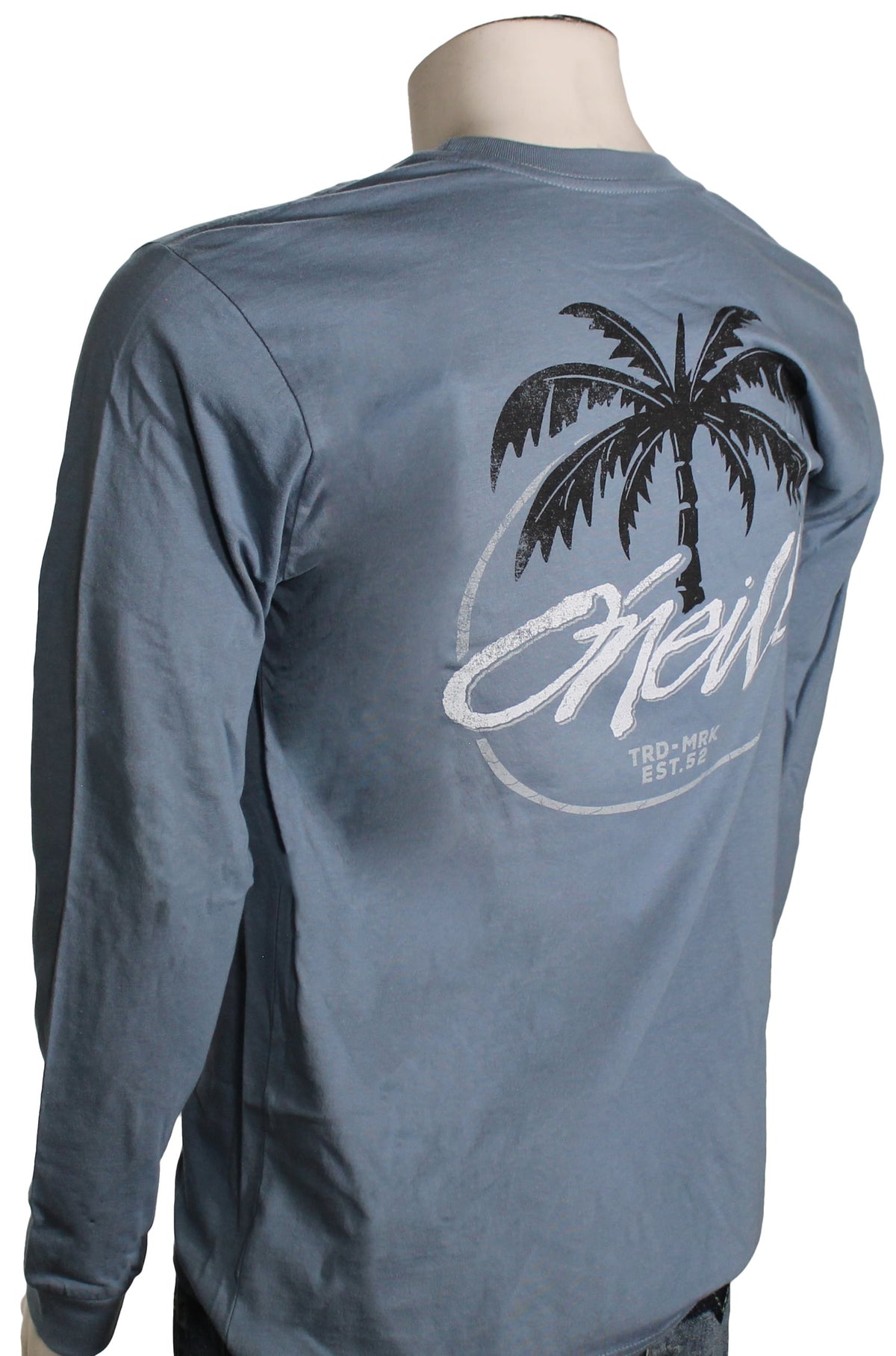 O'Neill Home Grown LS T-Shirt - Blue Mirage – back view