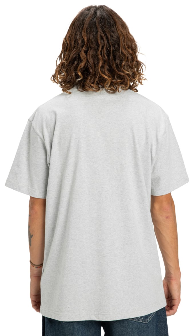 DC Star T-Shirt - Light Heather Grey – back view