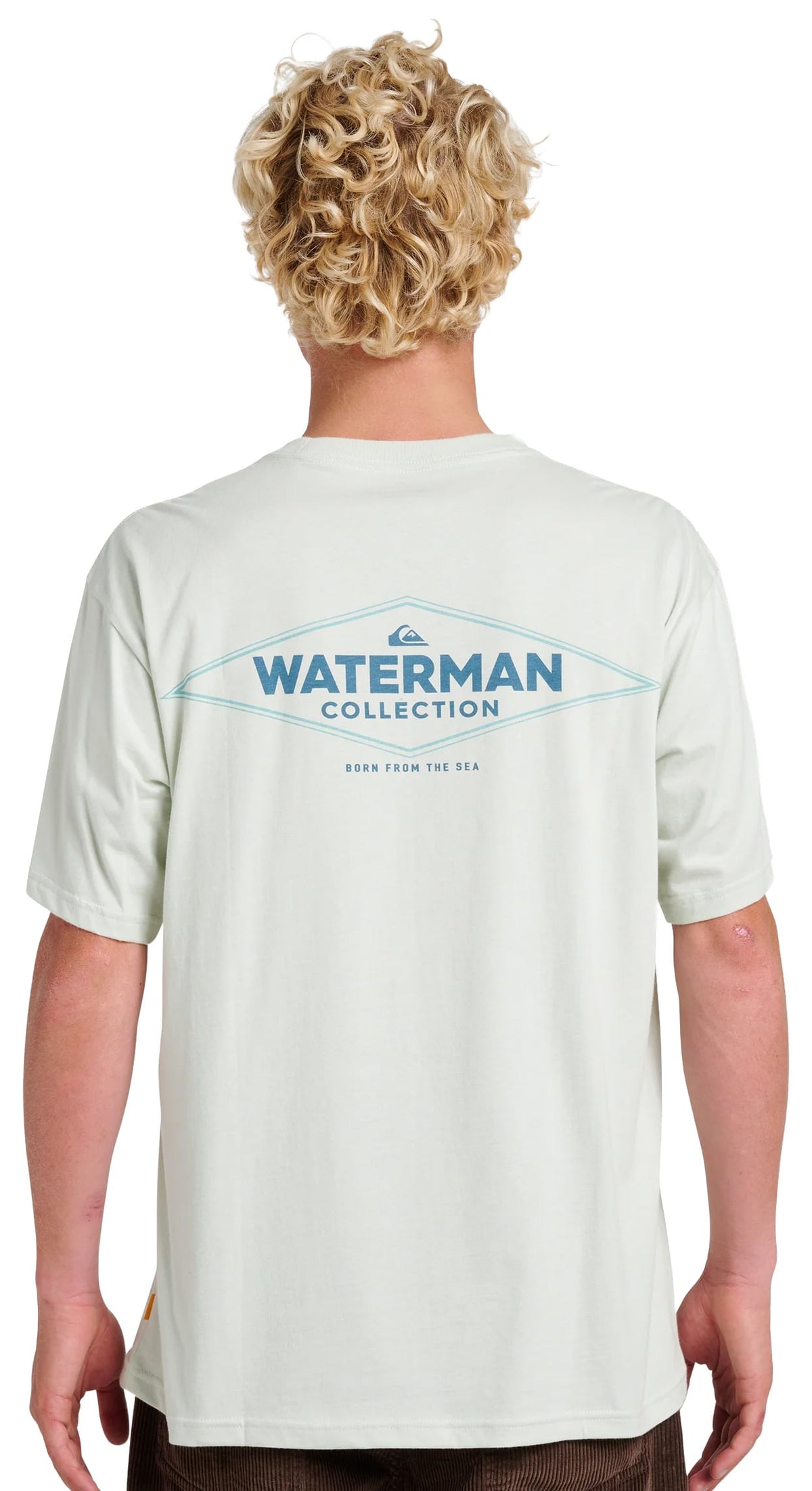 Quiksilver Waterman Diamond Classic SS T-Shirt - Smoke – back view