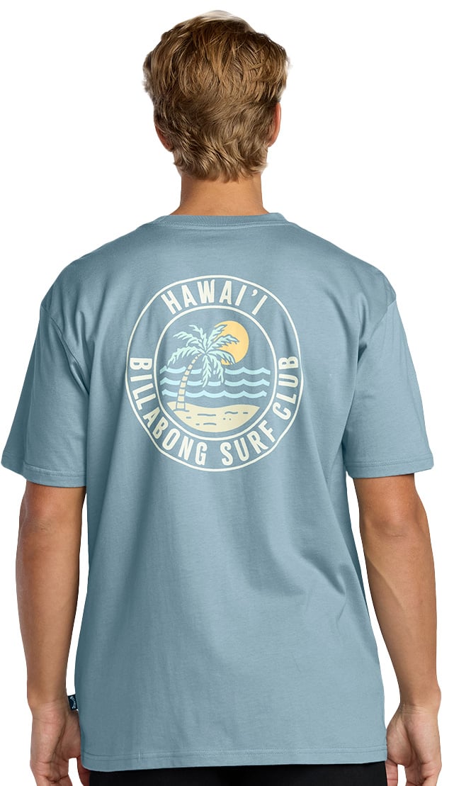 Billabong Palm Beach Hawaii Premium SS T-Shirt - Washed Blue – back view