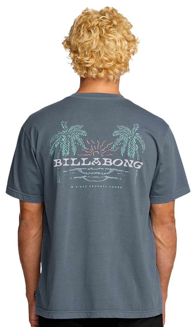 Billabong Social Lounge Wave Washed SS T-Shirt - Splashed Blue – back view
