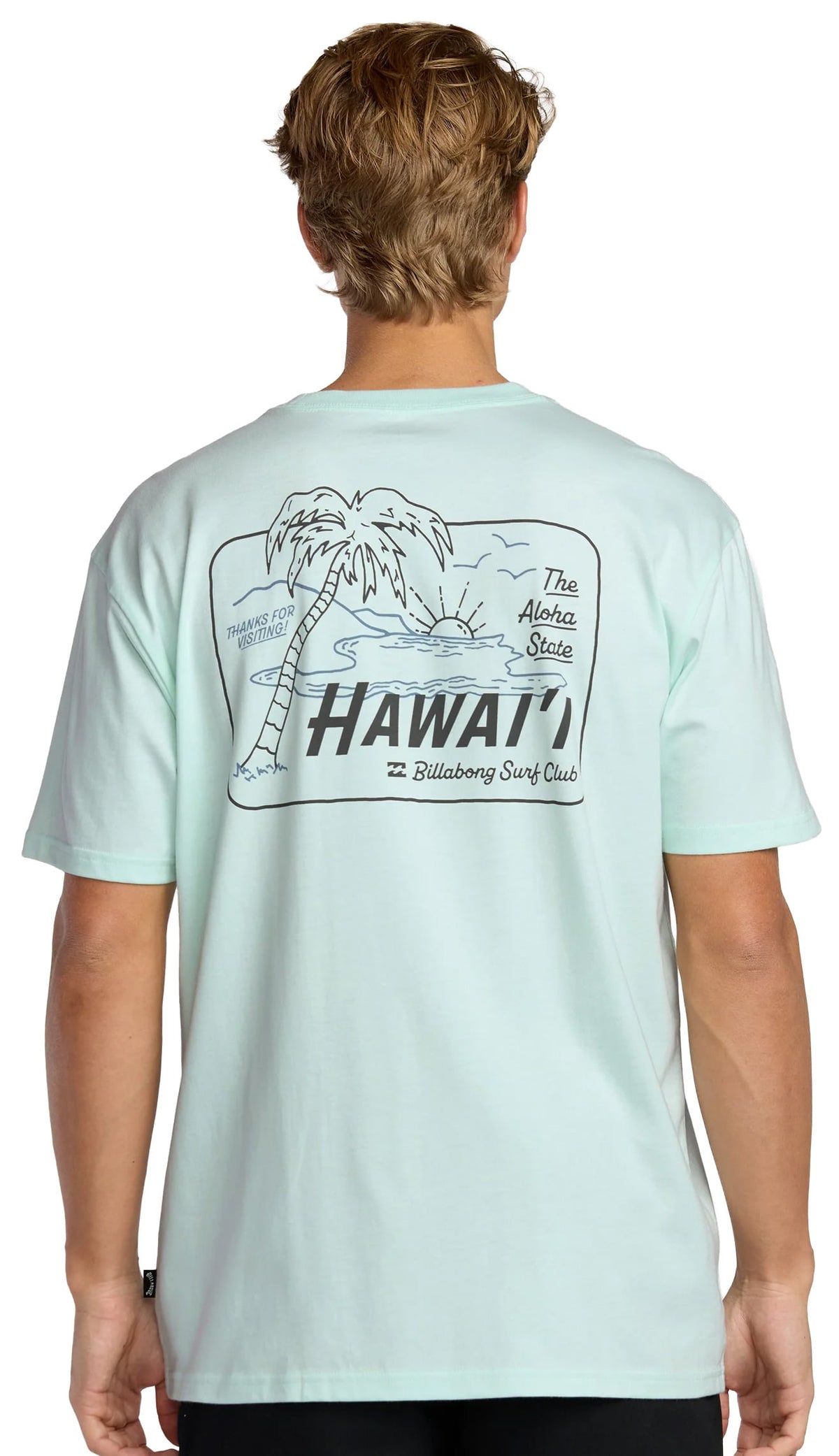 Billabong Lounge HI Premium SS T-Shirt - Seaglass – back view