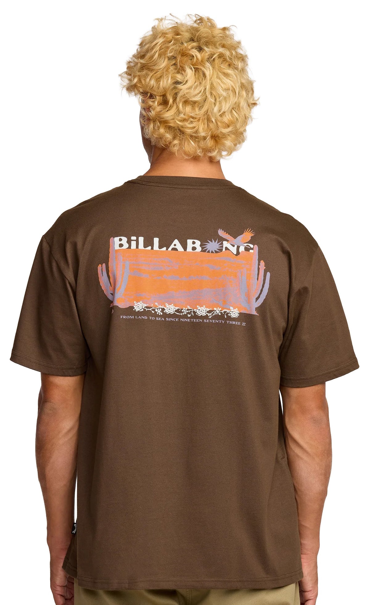 Billabong Land To Sea Regular SS T-Shirt - Rustic Brown – back view