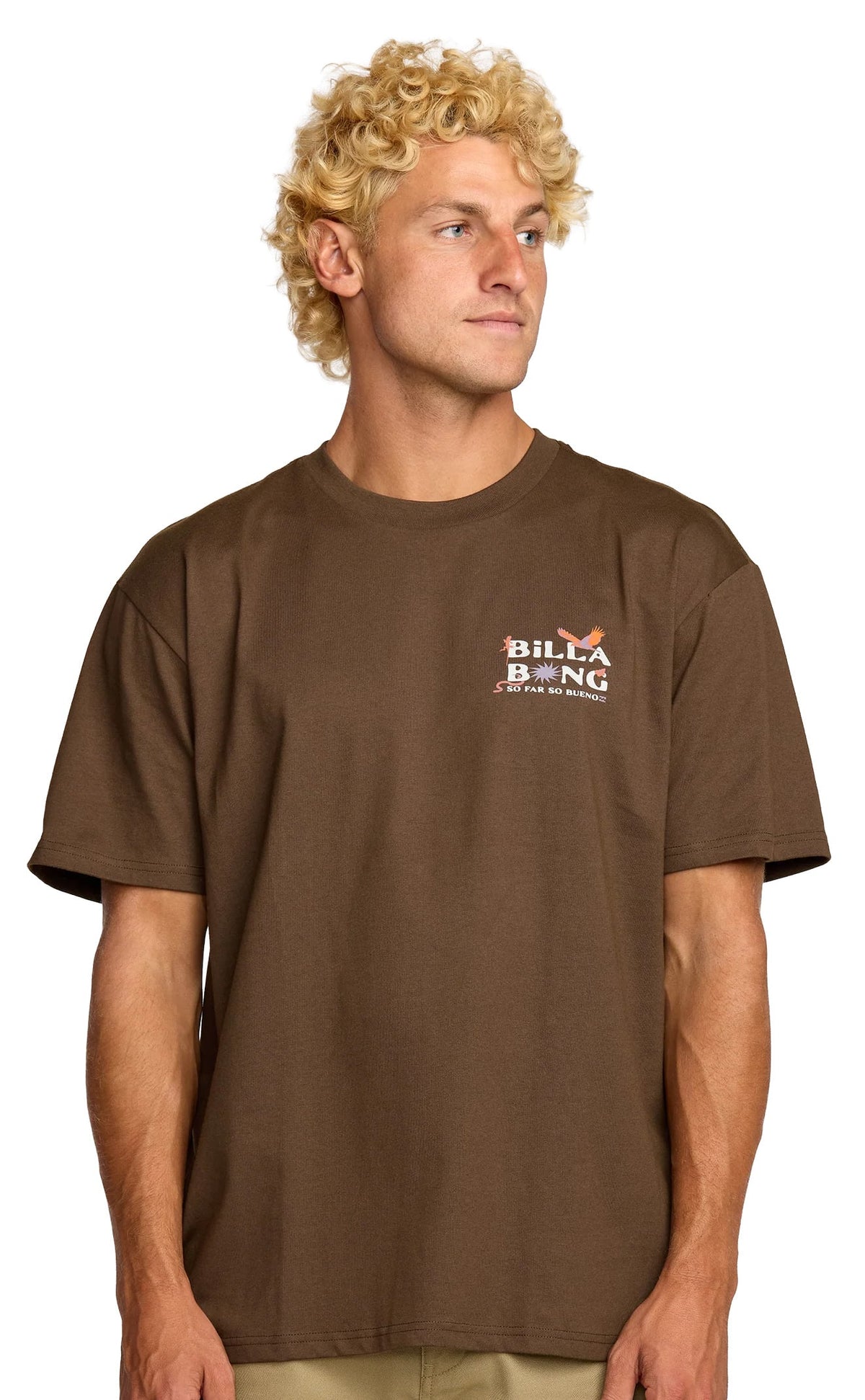 Billabong Land To Sea Regular SS T-Shirt - Rustic Brown