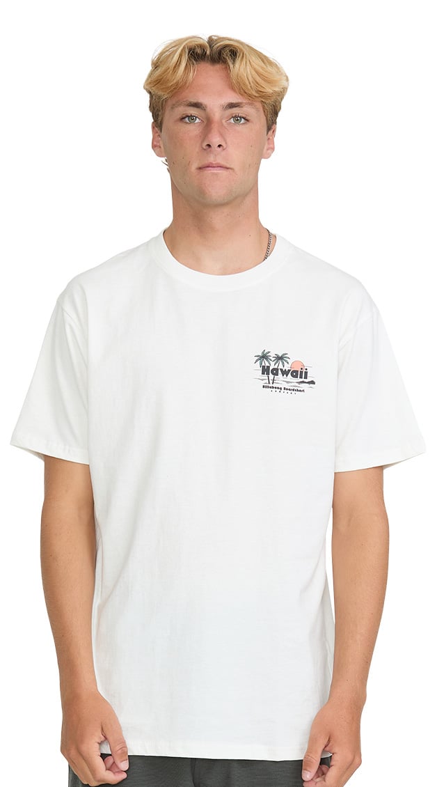 Billabong Tools Down HI Men's Short Sleeve T-Shirt - Off White