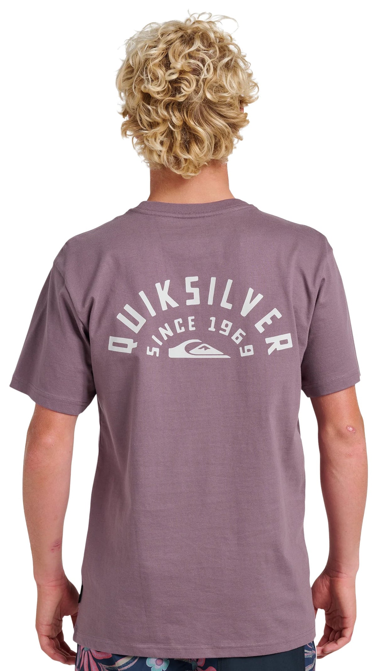 Quiksilver Sunrise Arch Classic SS T-Shirt - Vintage Violet – back view