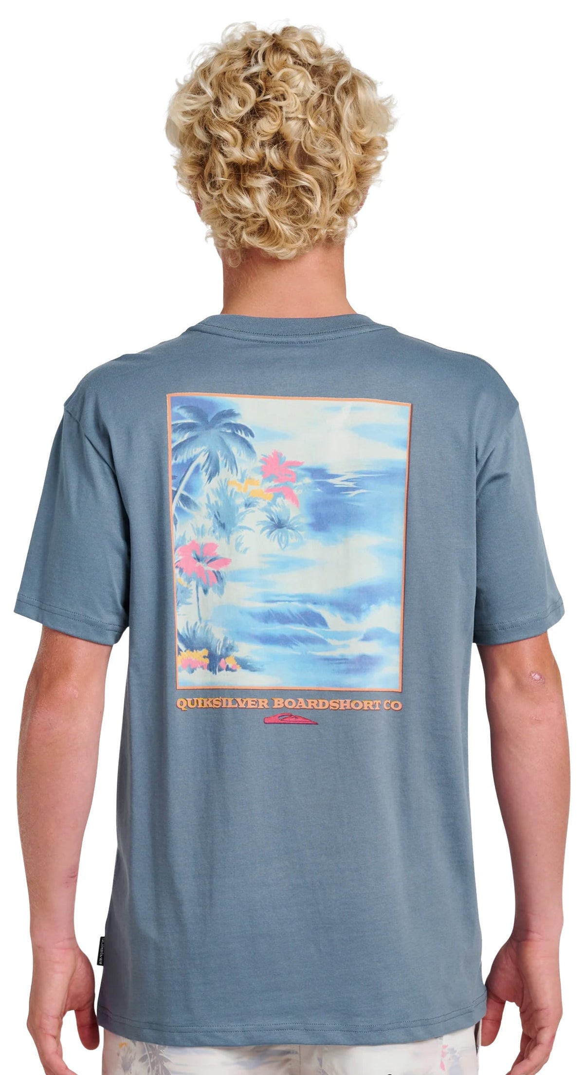 Quiksilver Tropical Surf Classic SS T-Shirt - China Blue – back view