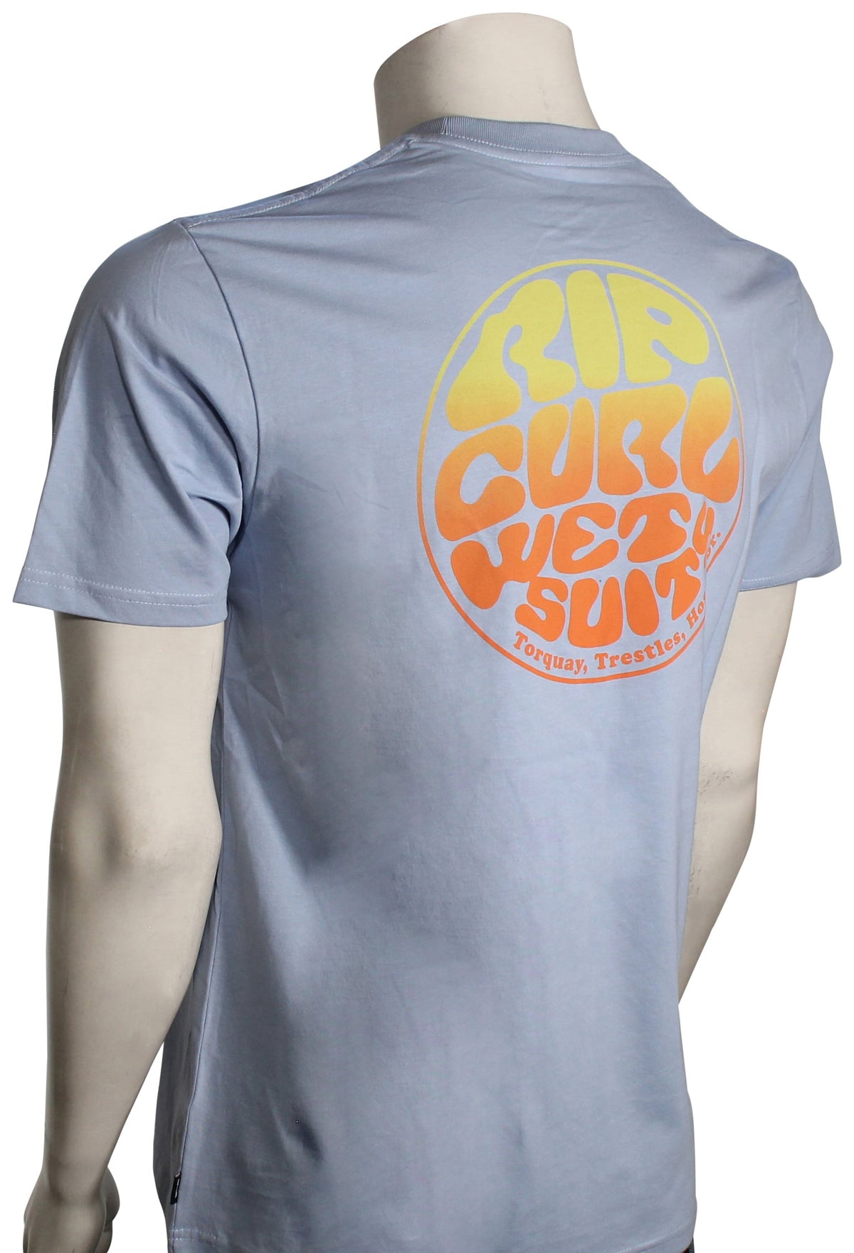 Rip Curl Wettie Passage Icon T-Shirt - Ice Blue – back view
