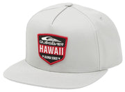 Quiksilver Hawaii Puka Men's Snapback Hat - Quarry