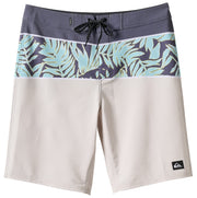 Quiksilver Surfsilk Panel 20" Boardshorts - Silver Birch