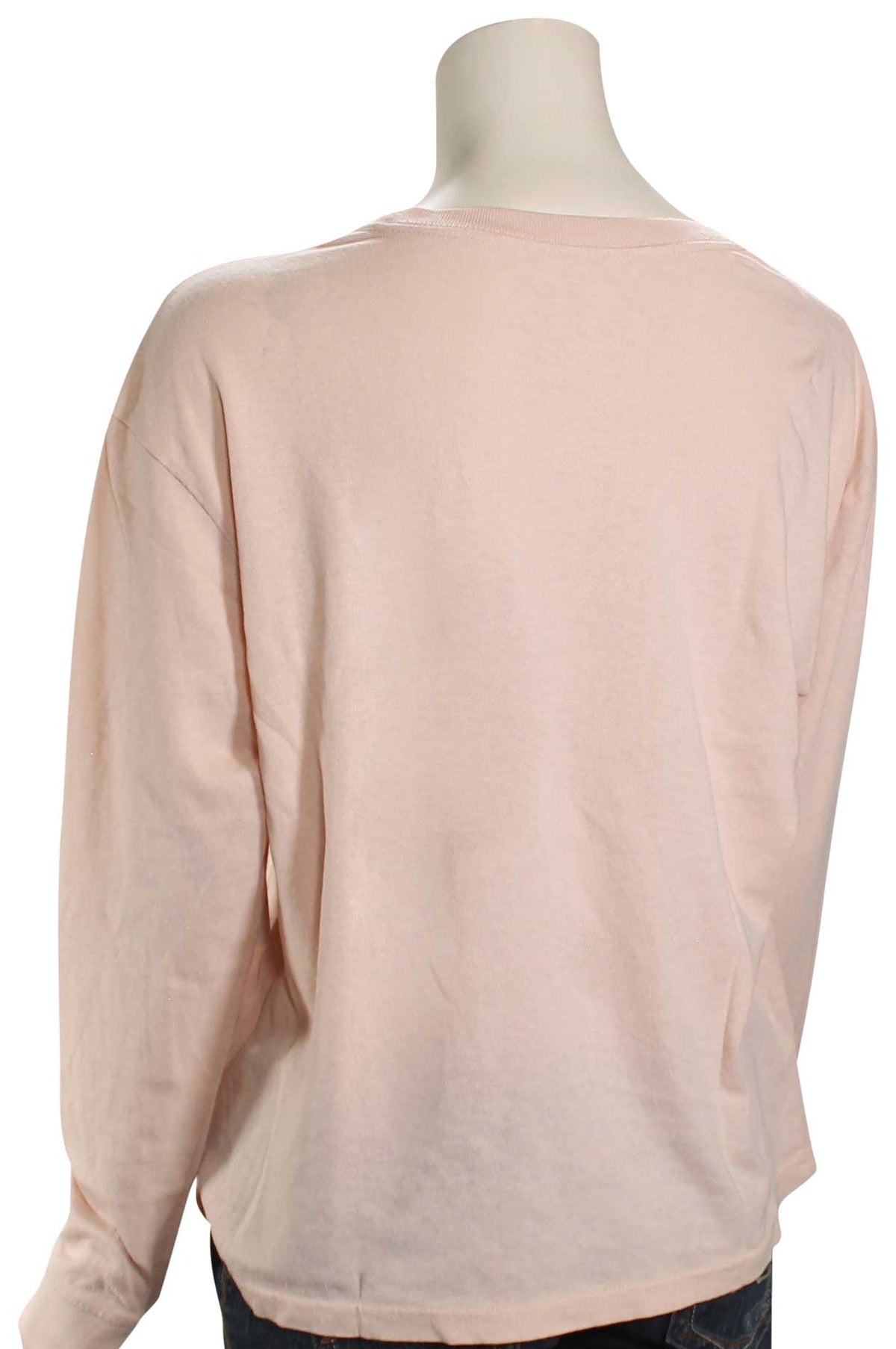 RVCA Big RVCA Stolen LS Women's T-Shirt - Pink Smoke, back view