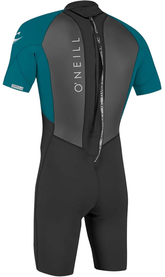 O'Neill Kid's Reactor 2MM Back Zip Springsuit - Black / Tidepool – back view