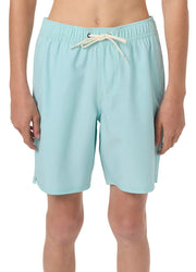 O'Neill Lennox Hermosa Solid 16" Boys Volley Shorts - Canal Blue