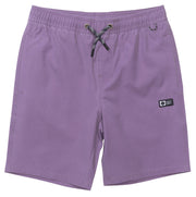 Salty Crew Boy's Seadog Volley Shorts - Grape