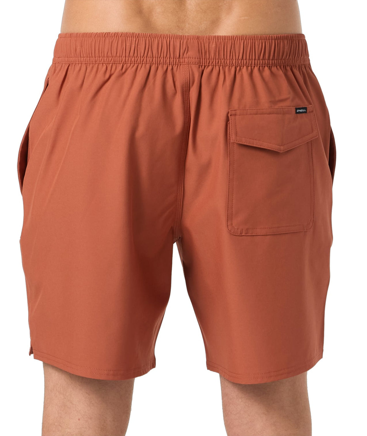 O'Neill Lennox Hermosa Solid 17" Men's Volley Shorts - Chutney – back view