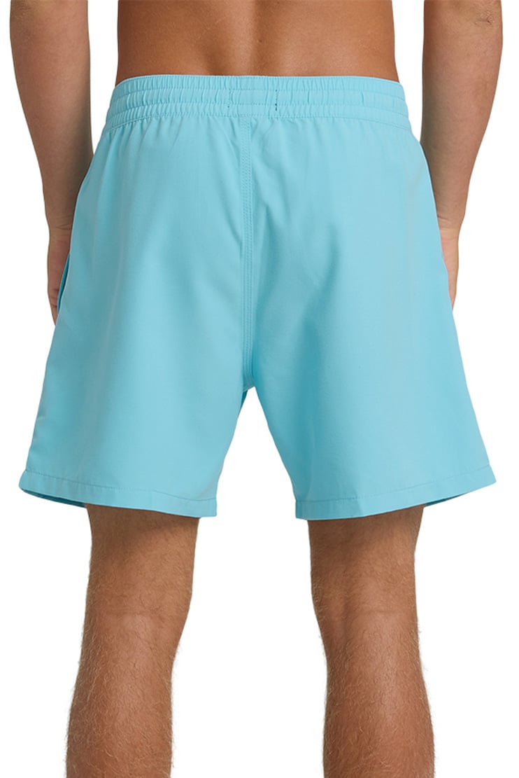 Billabong Every Other Day Wave Washed 16" Volley Shorts - Blue Shadow – back view