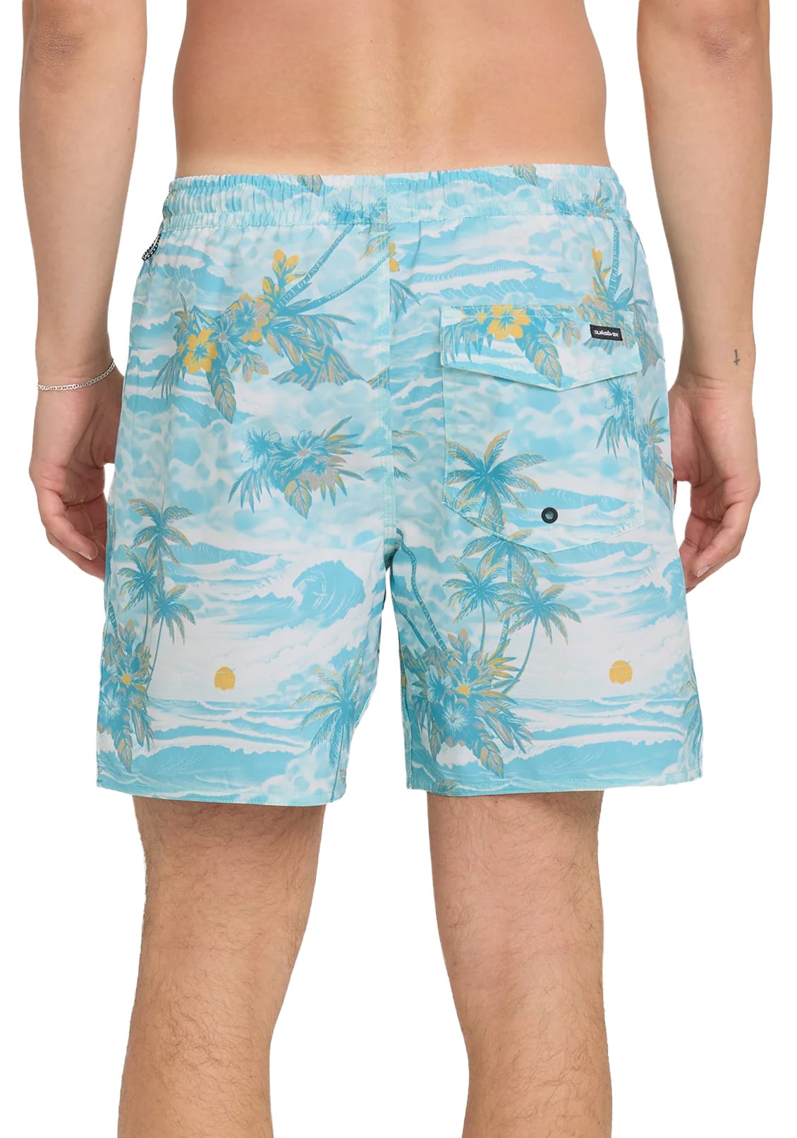 Quiksilver Everyday Mix 17" Volley Shorts - Blue Haze – back view