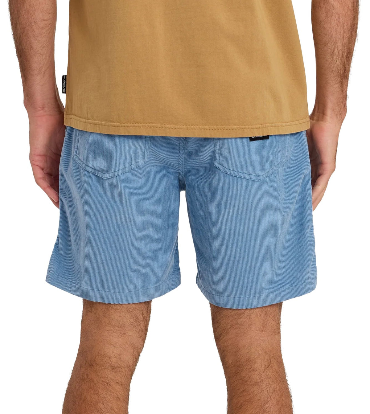 Quiksilver Taxer Cord 18" Men's Elastic Waist Volley Shorts - Riviera – back view