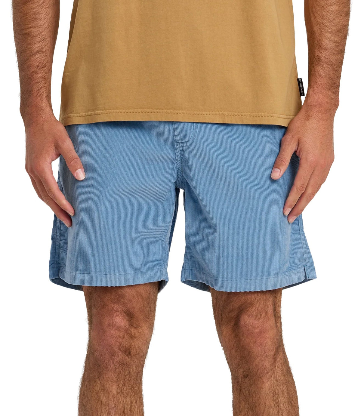 Quiksilver Taxer Cord 18" Men's Elastic Waist Volley Shorts - Riviera – alternate view 1