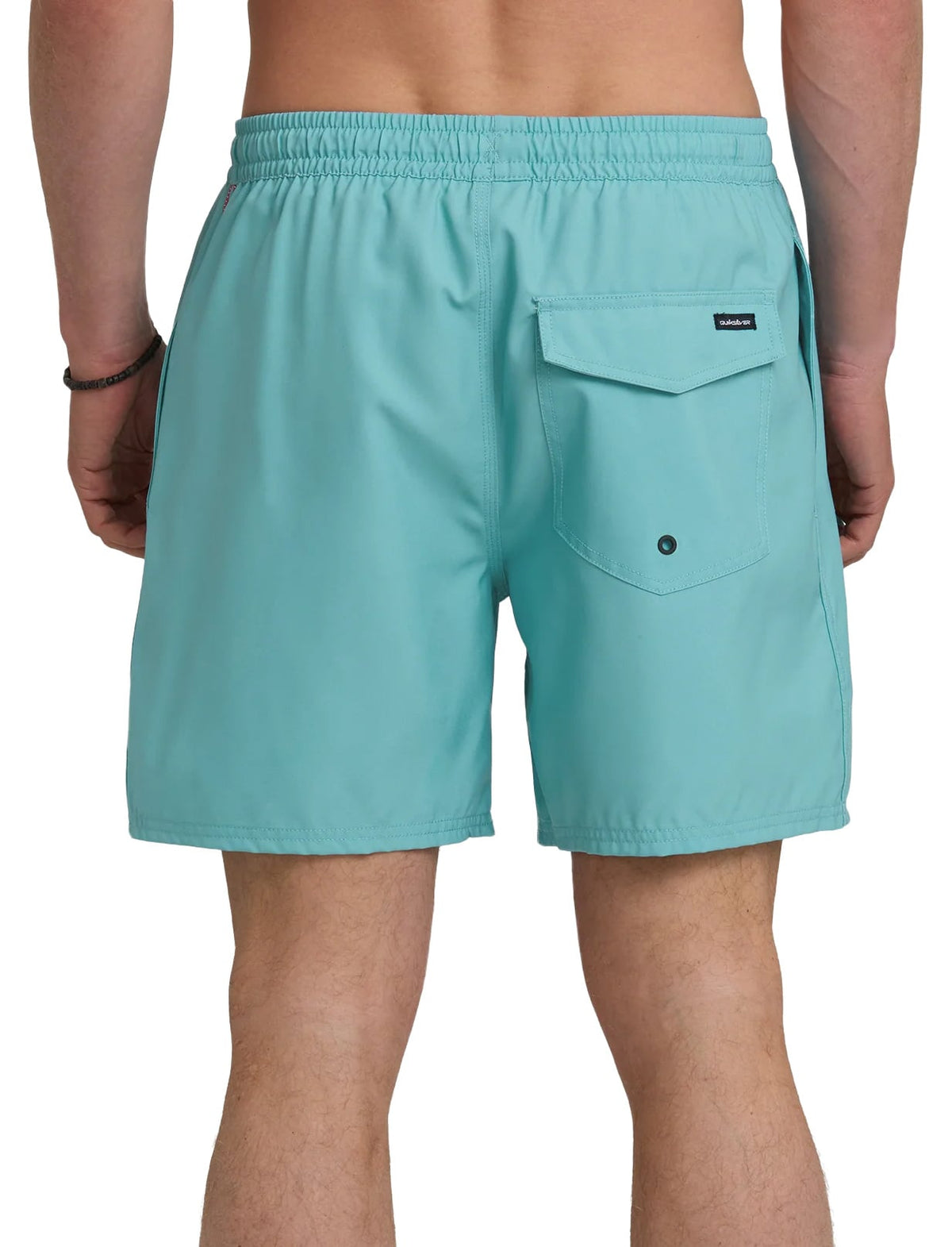 Quiksilver Everyday Solid 17" Men's Volley Shorts - Aqua – back view