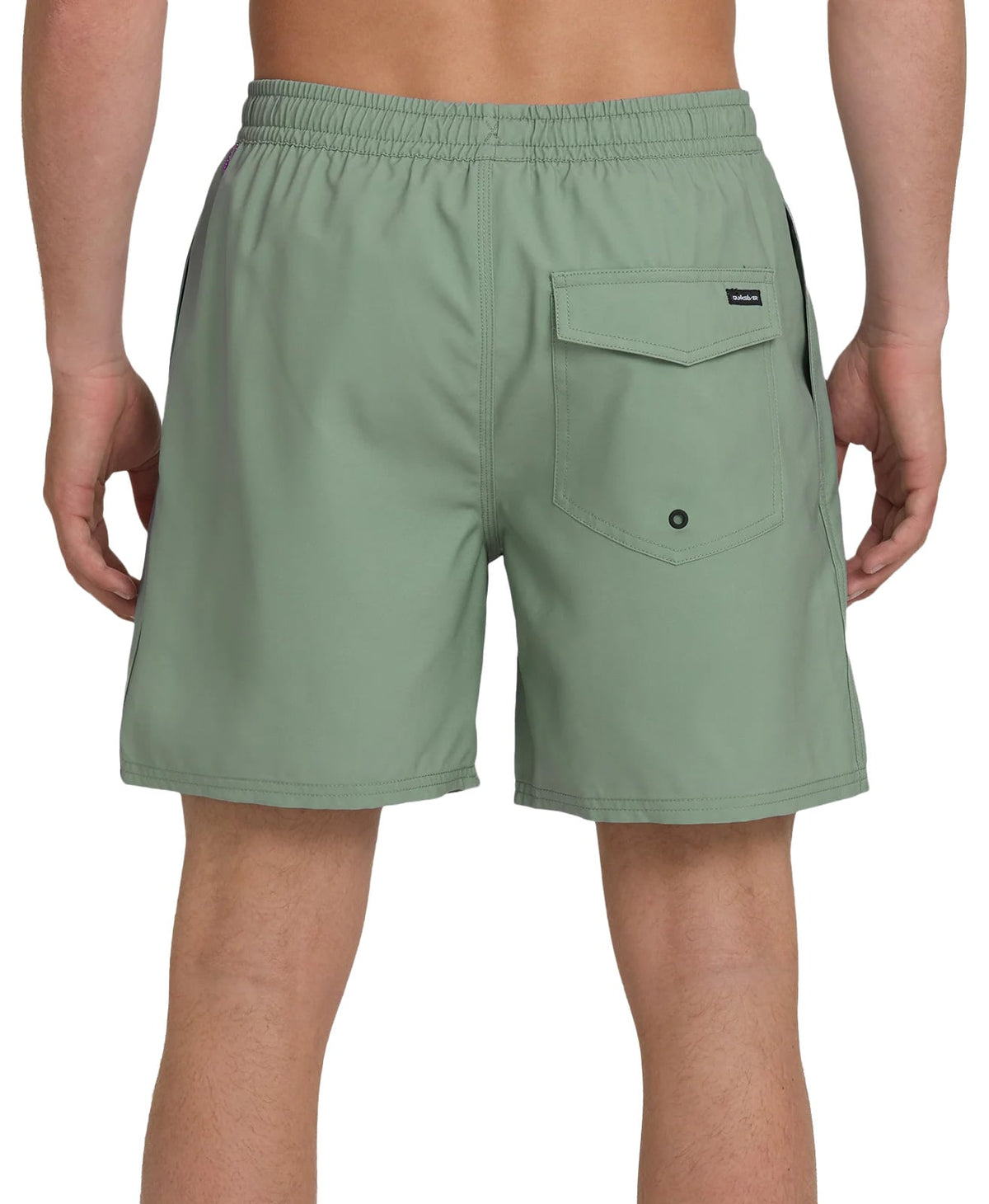 Quiksilver Everyday Solid 17" Men's Volley Shorts - Lily Pad – back view