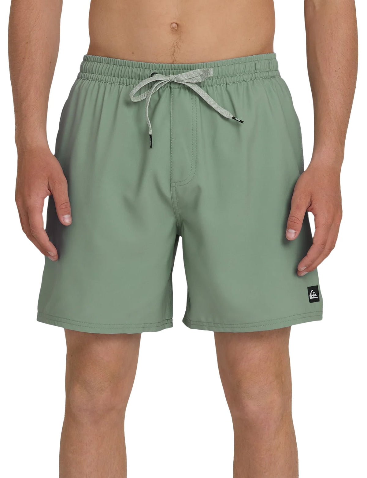 Quiksilver Everyday Solid 17" Men's Volley Shorts - Lily Pad