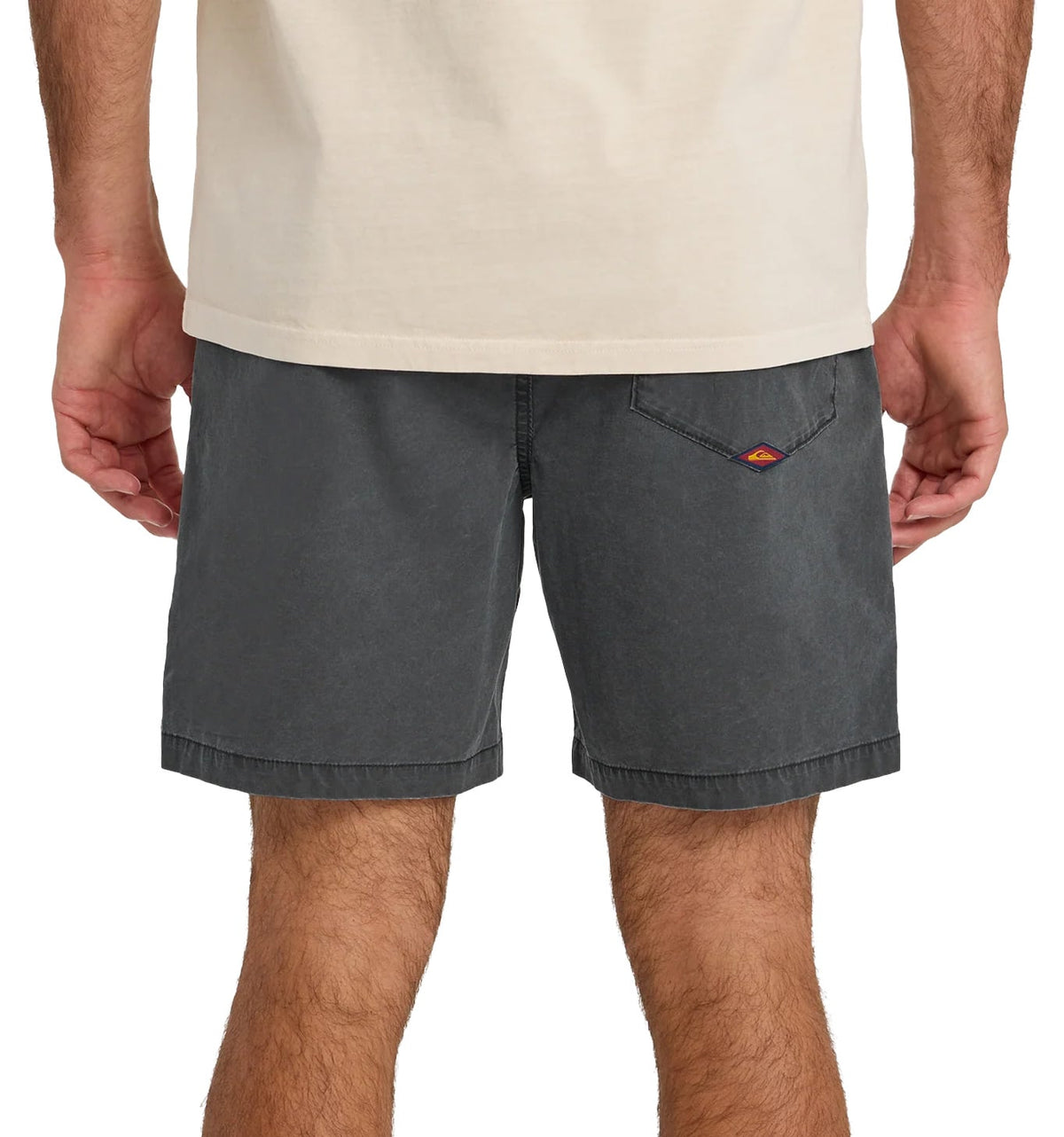 Quiksilver Saltwater 18" Men's Volley Shorts - Black – back view