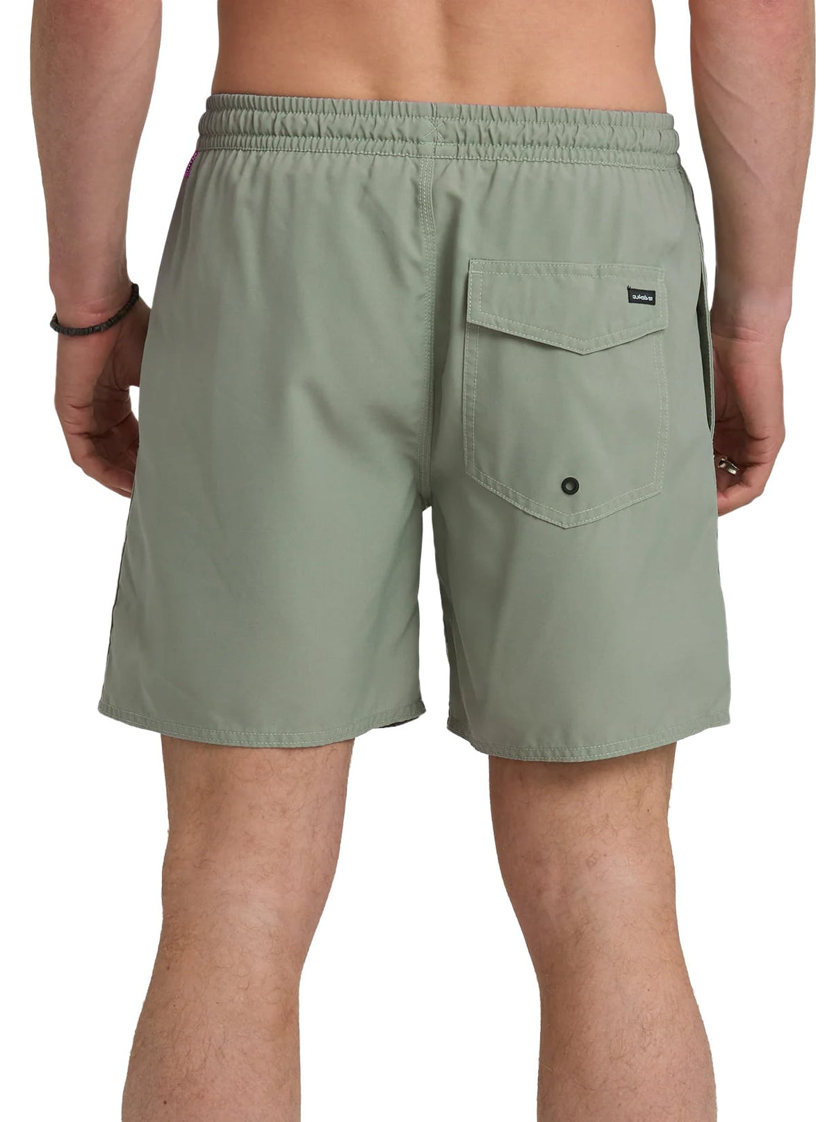 Quiksilver Saltwater 17" Men's Volley Shorts - Lily Pad – back view