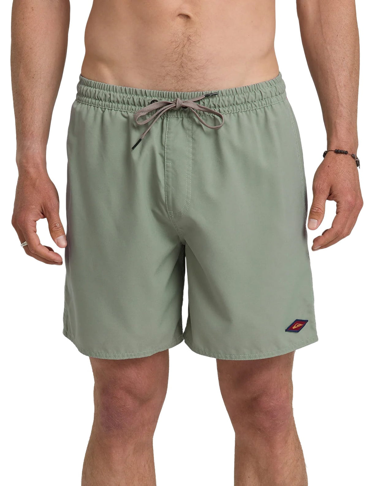 Quiksilver Saltwater 17" Men's Volley Shorts - Lily Pad