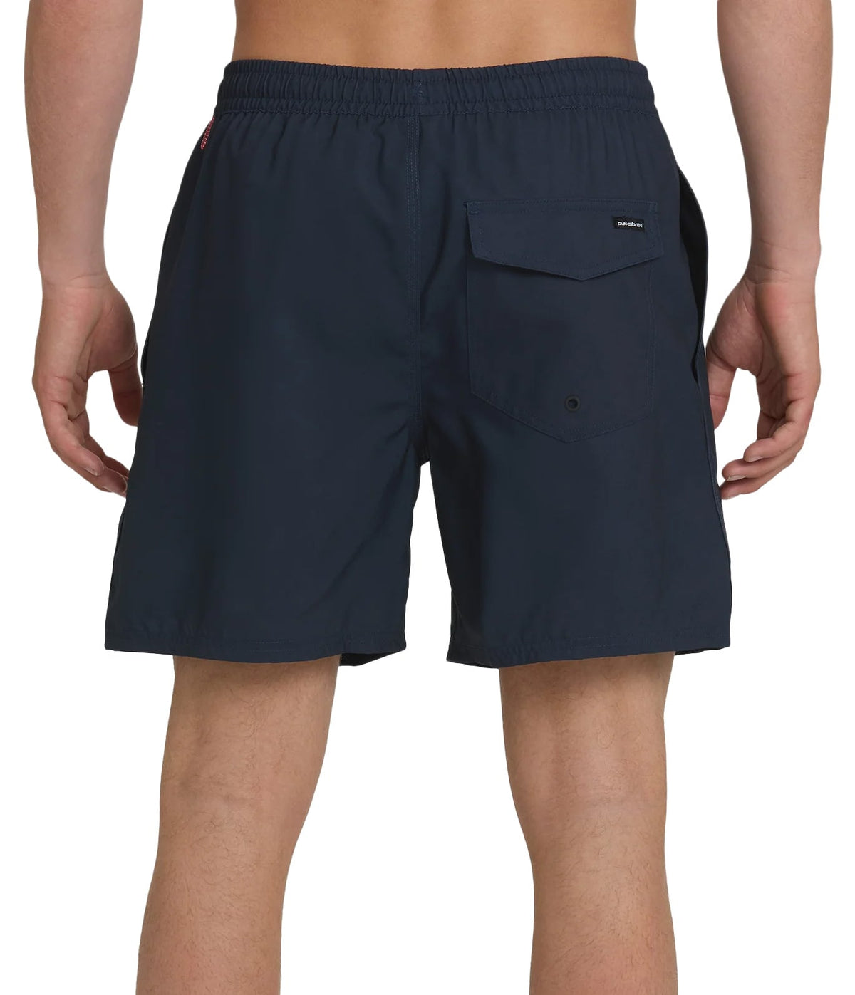 Quiksilver Everyday Solid 17" Men's Volley Shorts - Total Eclipse – back view