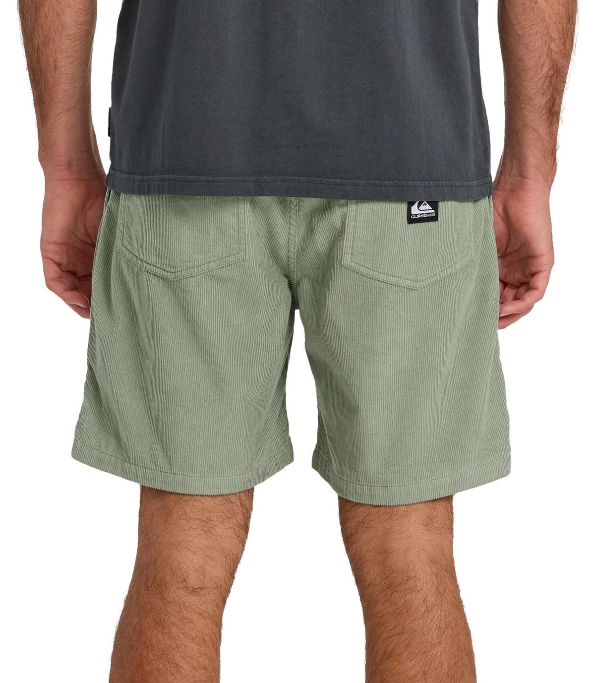Quiksilver Taxer Cord 18" Men's Elastic Waist Volley Shorts - Lily Pad – back view