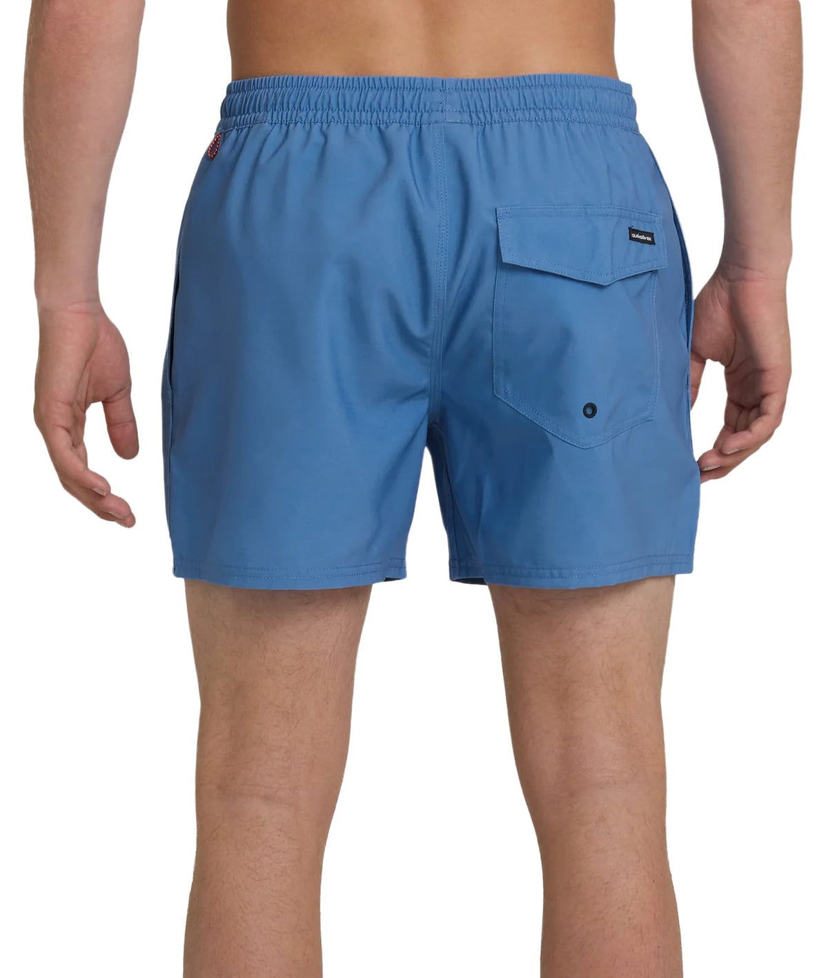 Quiksilver Everyday 15" Men's Volley Shorts - Riviera – back view