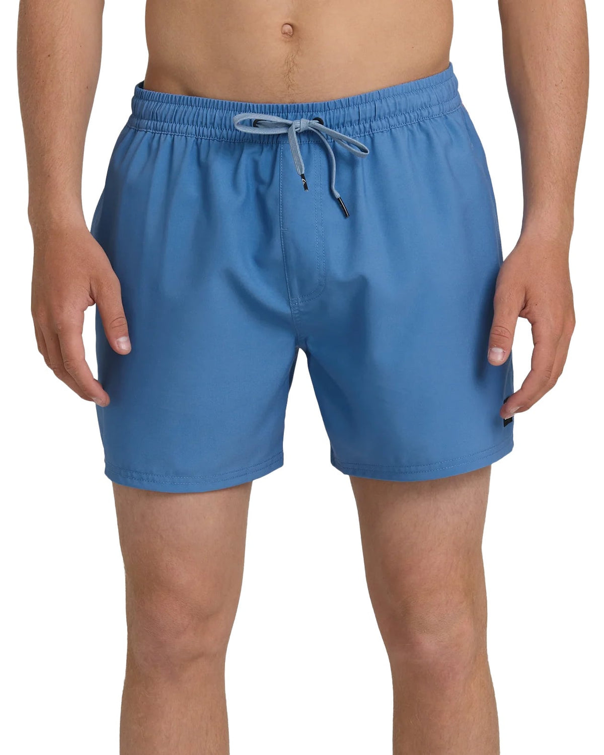 Quiksilver Everyday 15" Men's Volley Shorts - Riviera