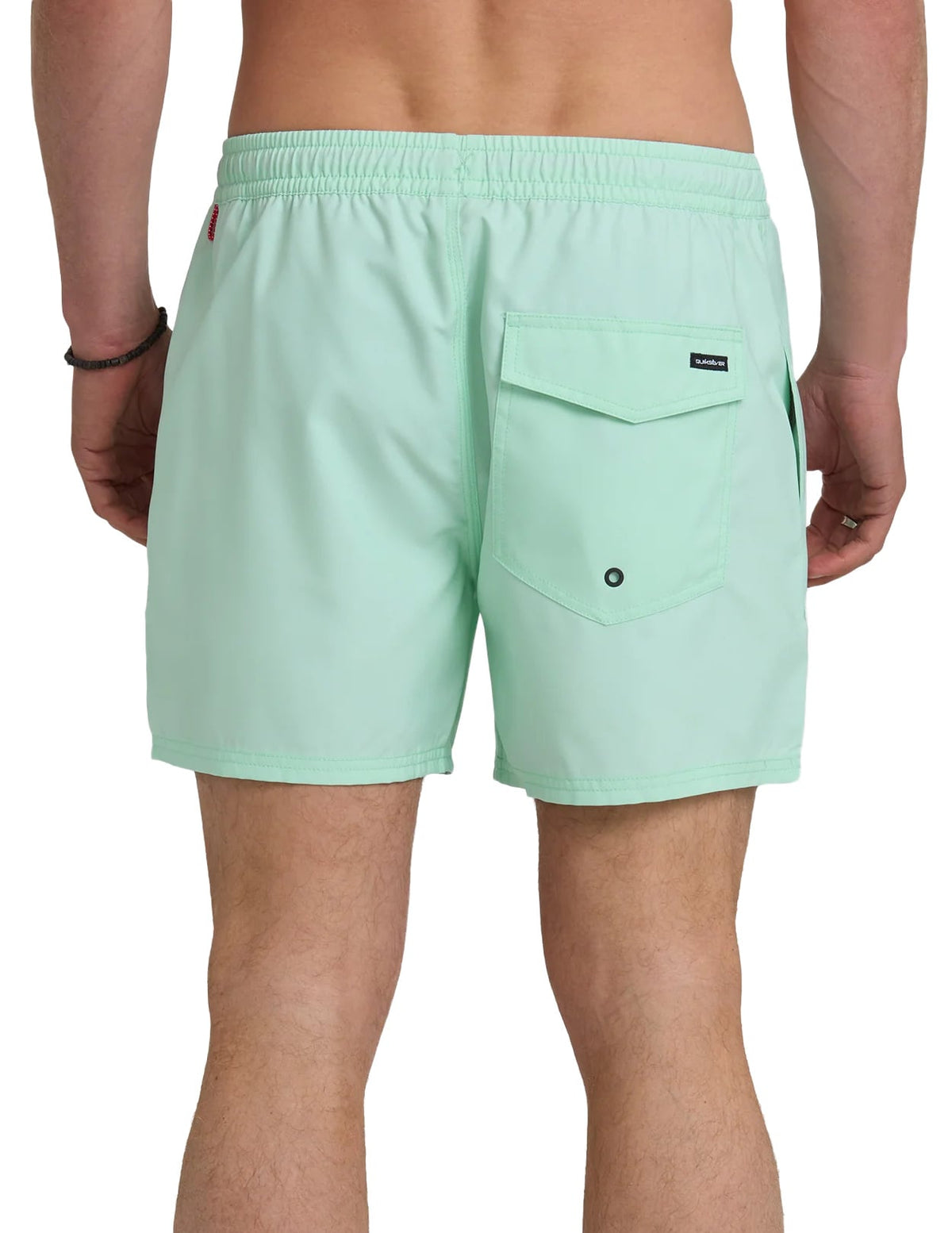 Quiksilver Everyday 15" Men's Volley Shorts - Brook Green – back view