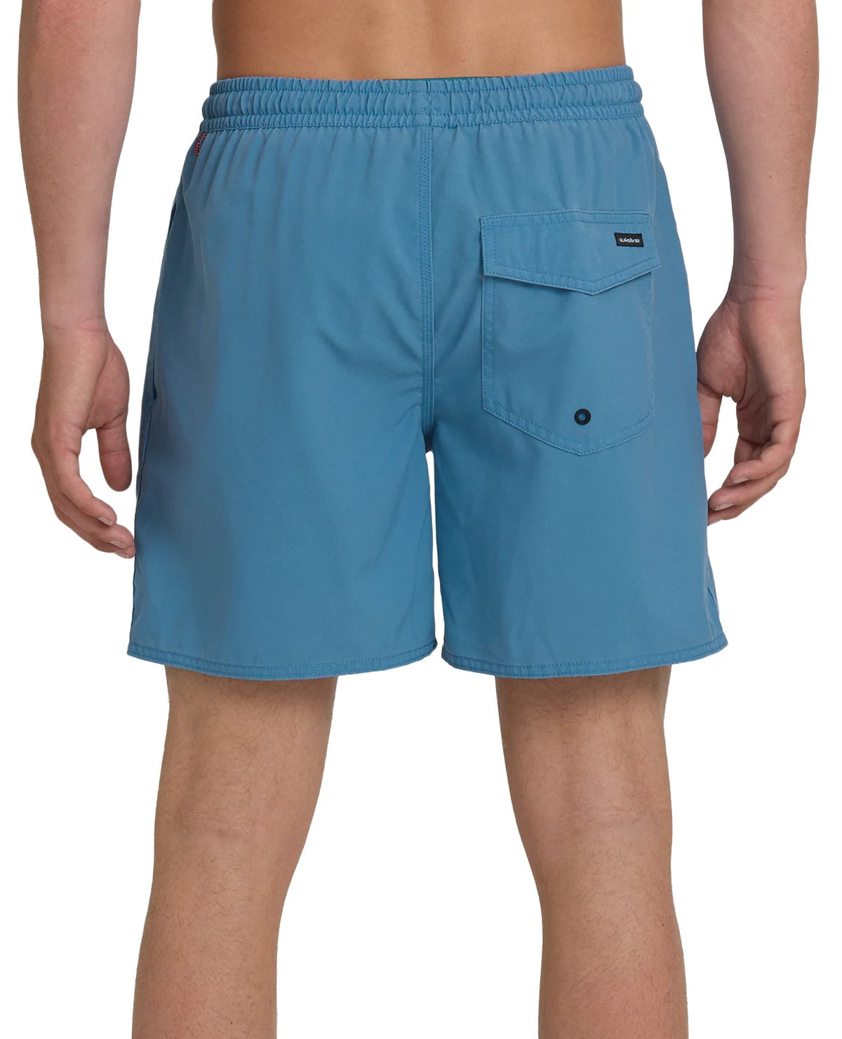 Quiksilver Saltwater 17" Men's Volley Shorts - Riviera – back view
