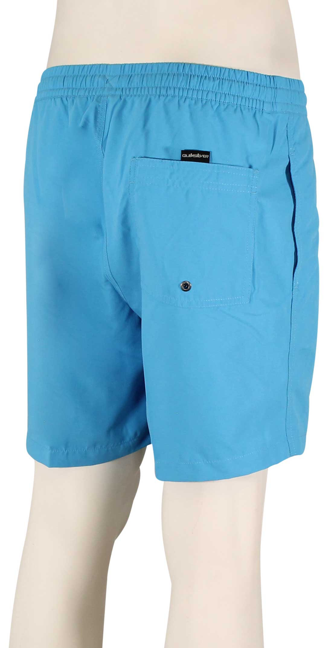 Quiksilver Everyday Volley Shorts - Blithe – back view