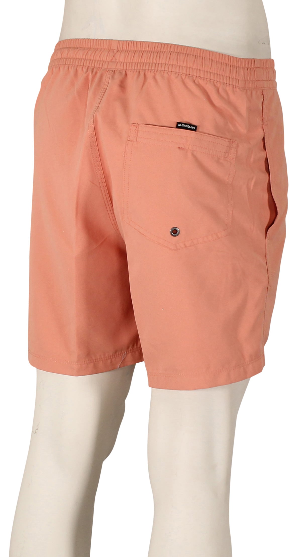 Quiksilver Everyday Solid 17" Volley Shorts - Canyon Clay – back view