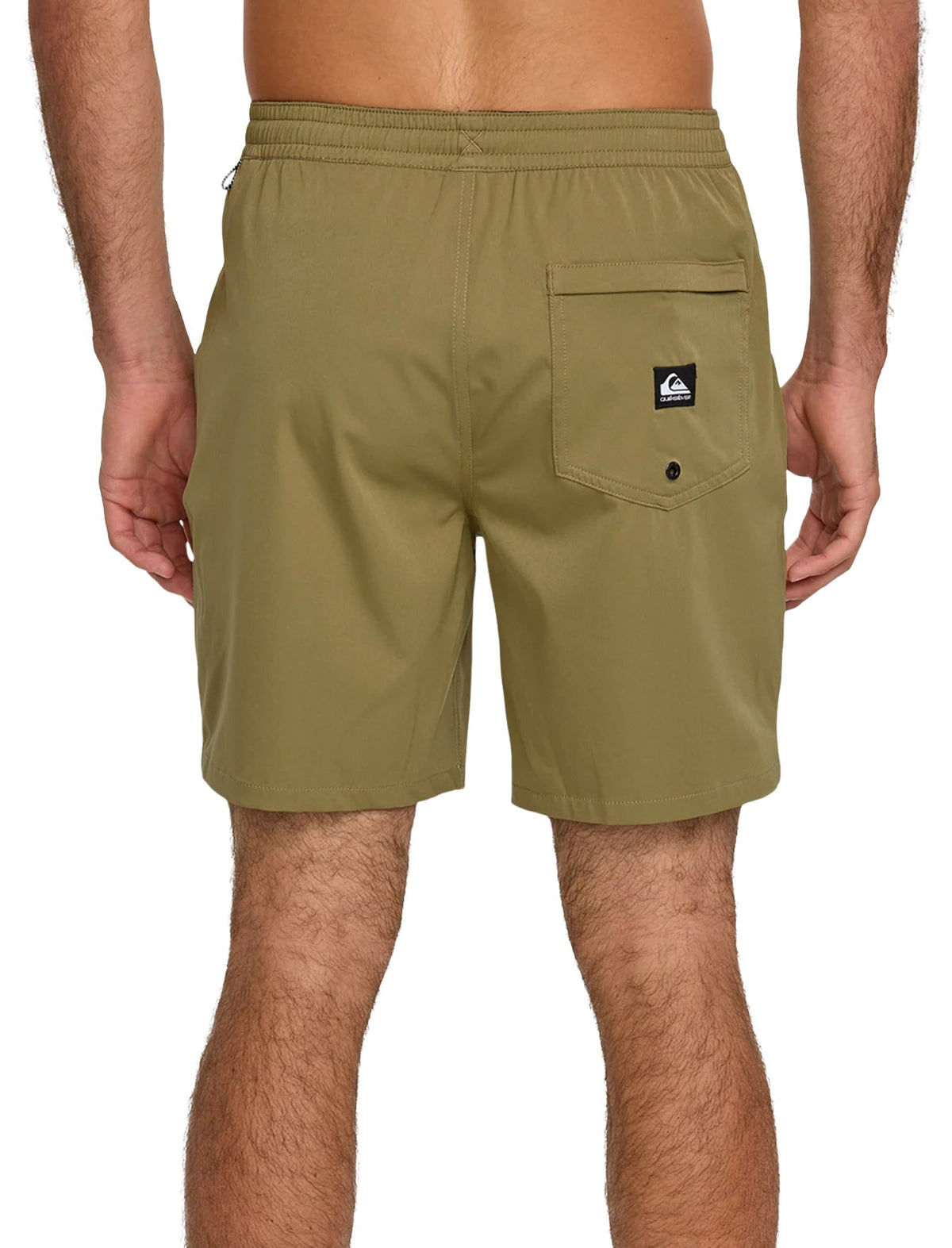 Quiksilver Taxer Amphibian 18" Volley Shorts - Aloe – back view