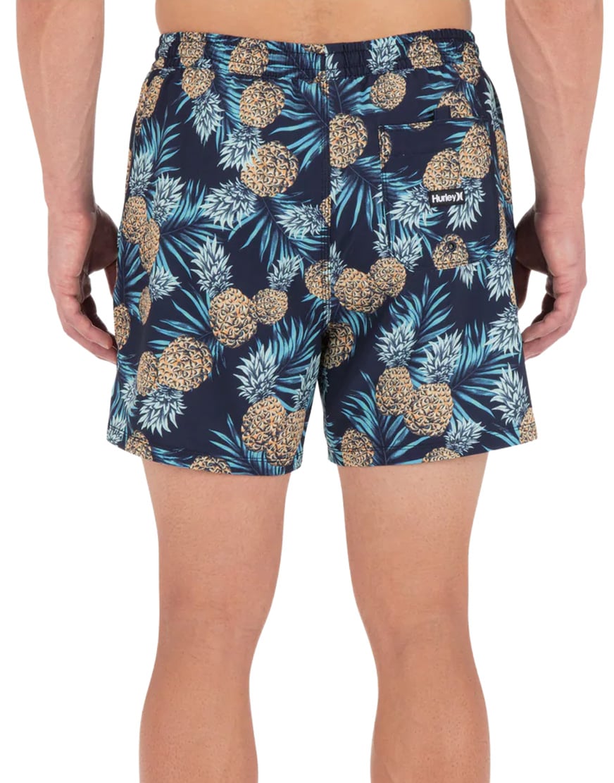 Hurley Cannonball 17" Men's Volley Shorts - Obsidian – back view